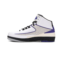 Air-Jordan-2-Retro-Dark-Concord-2014-3