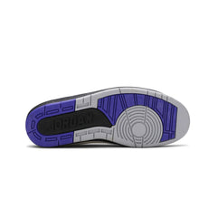 Air-Jordan-2-Retro-Dark-Concord-2014-5