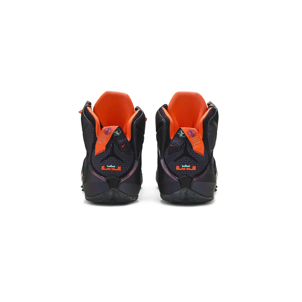 Nike-LeBron-12-Instinct-2014-4