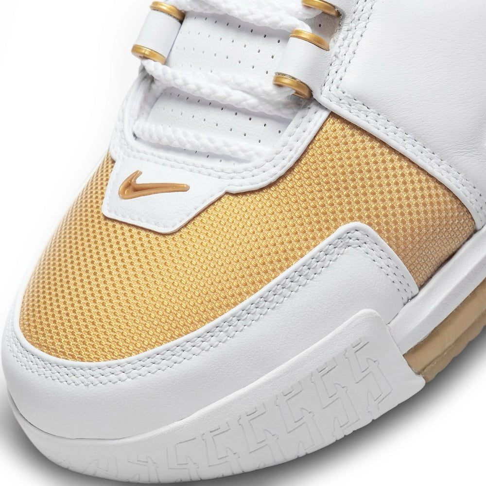 nike_lebron_zoom_2_maccabi_2022_9