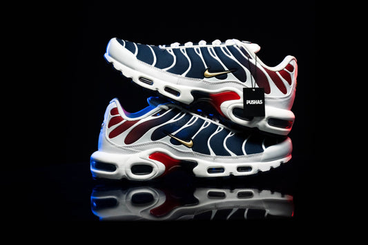 Nike Air Max Plus TN sizing reference for finding your fit