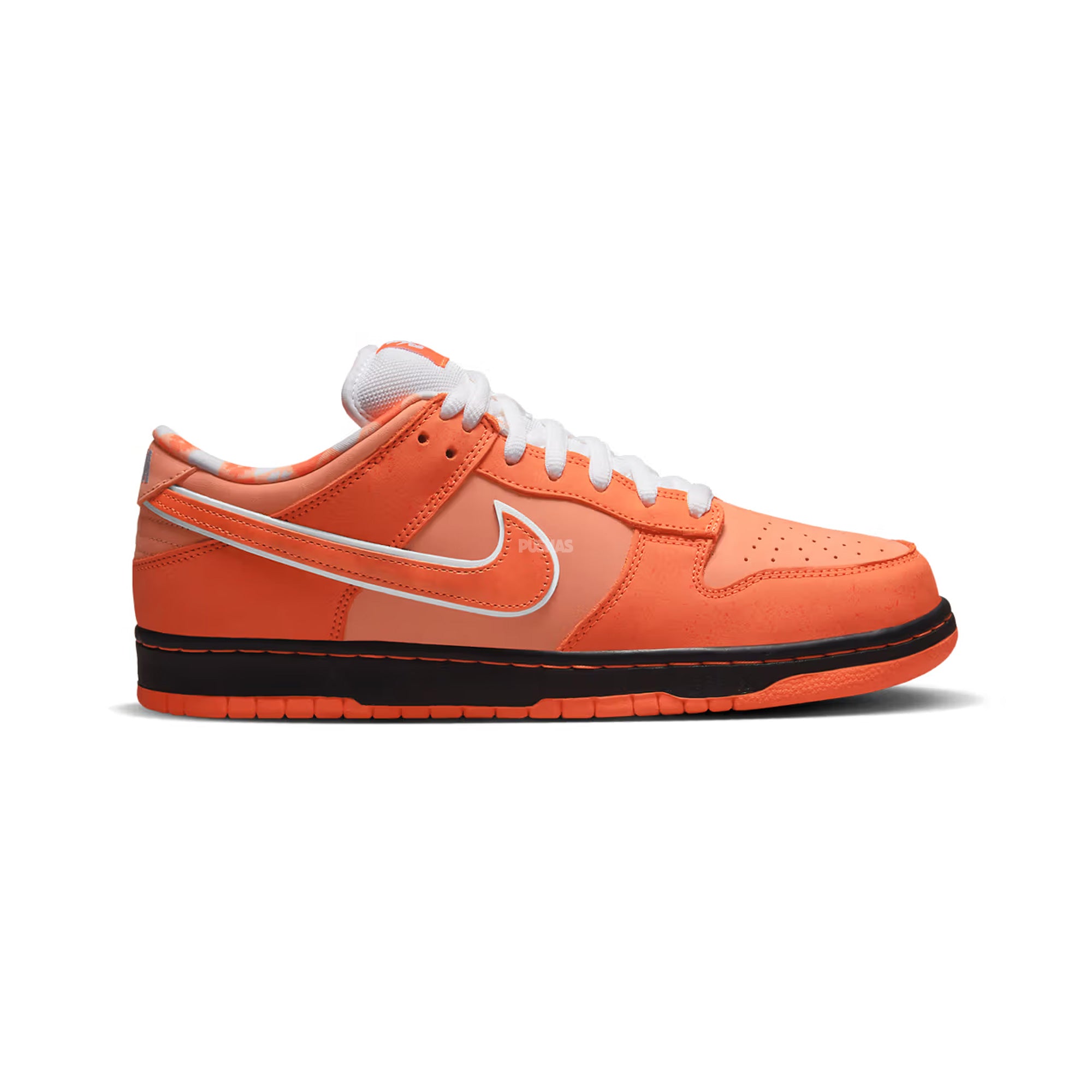 Nike-SB-Dunk-Low-Concepts-Orange-Lobster-Special-Box-2022