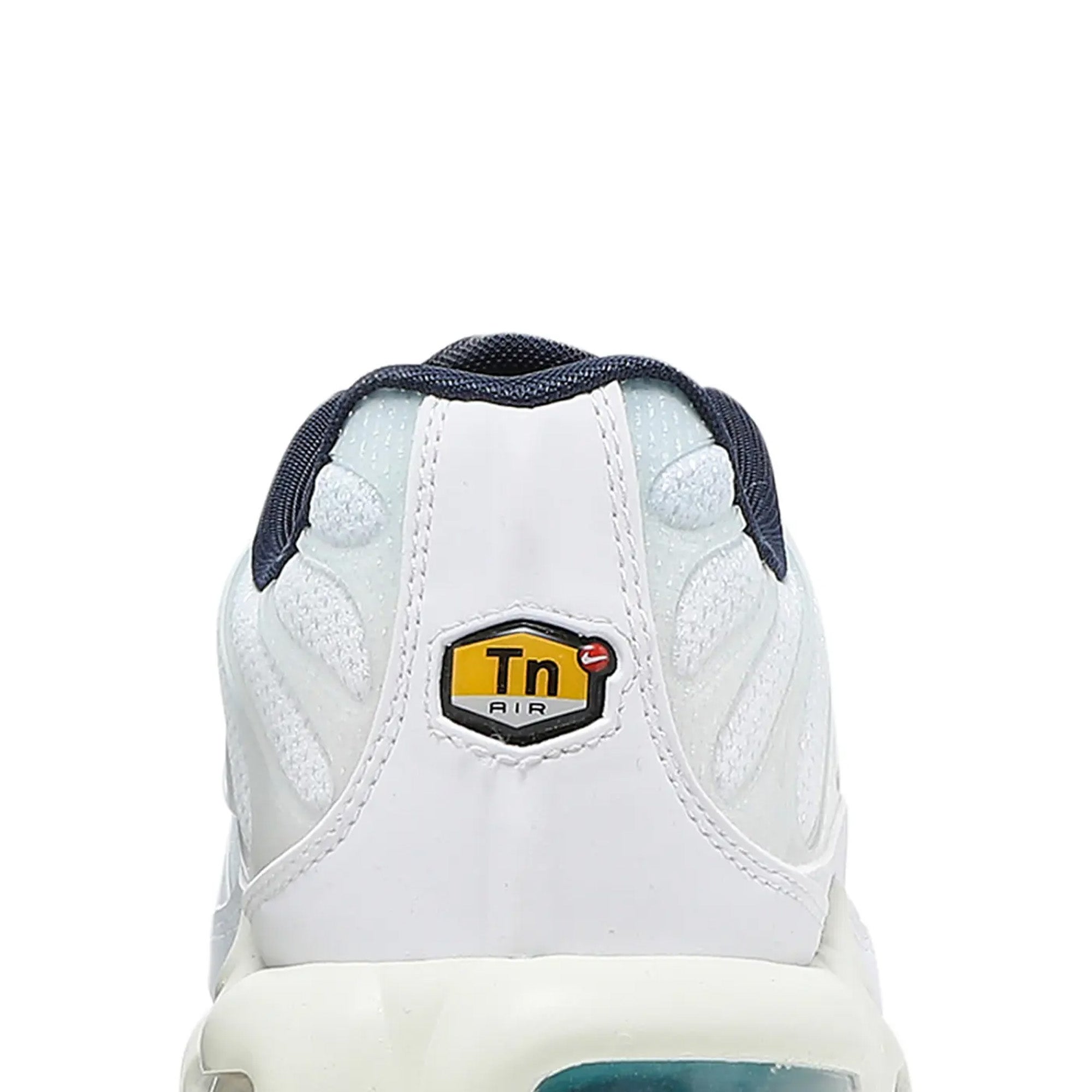 Air-Max-TN-Plus-'Psychic-Blue'-back-close-up