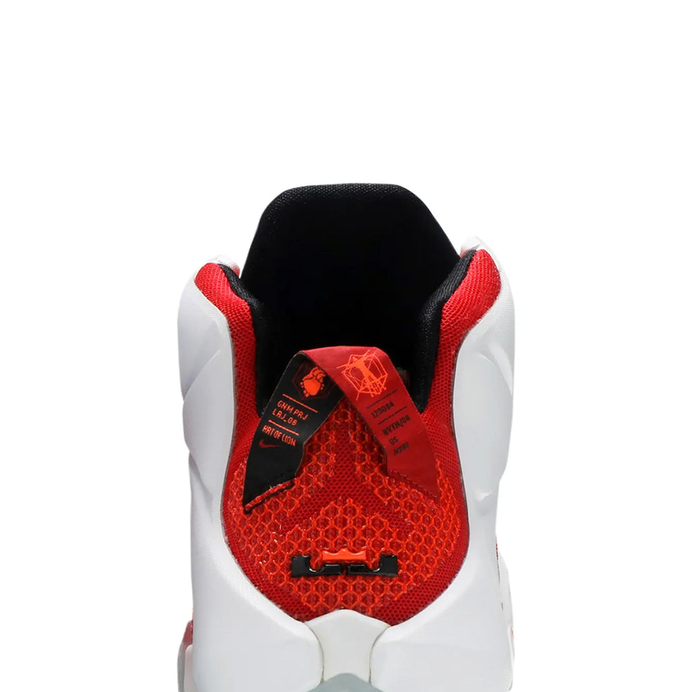 Nike-LeBron-12-Heart-of-a-Lion-2014-8