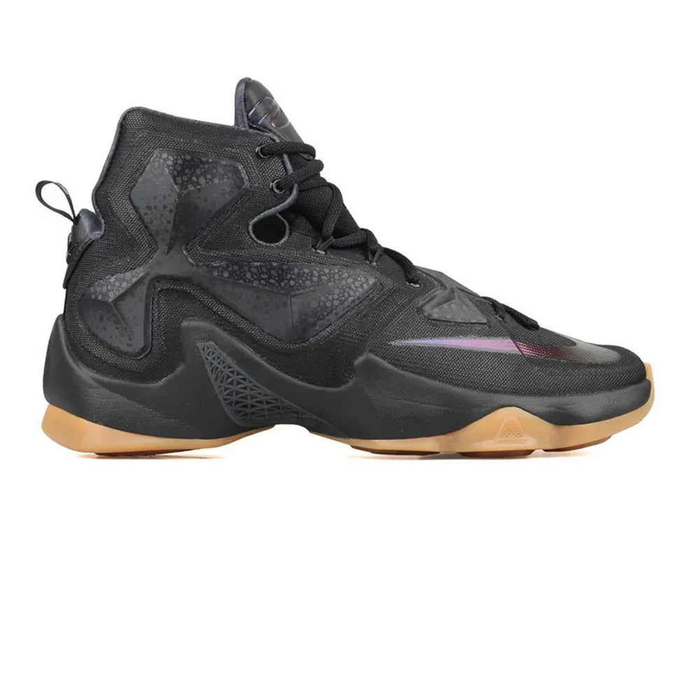 nike_lebron_13_black_lion_2016_1