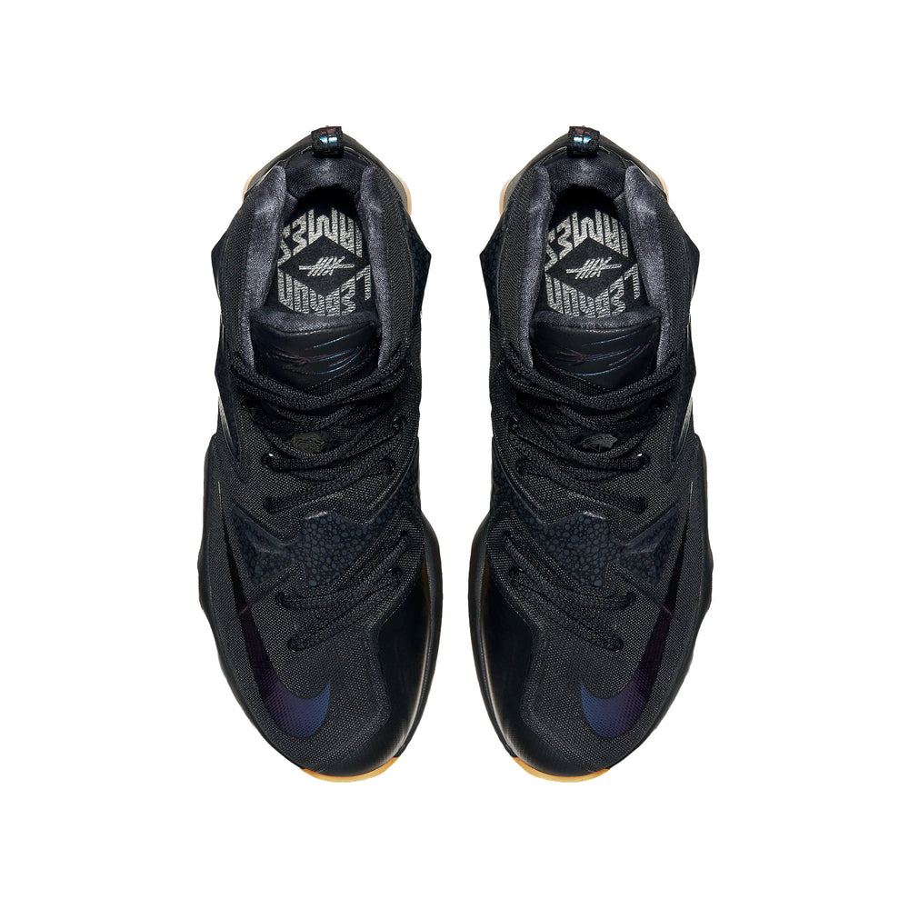 nike_lebron_13_black_lion_2016_5