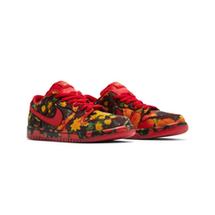 Nike-SB-Dunk-Low-'The-Wizard-of-Oz-Poppy-Field'-(2024)-front-side