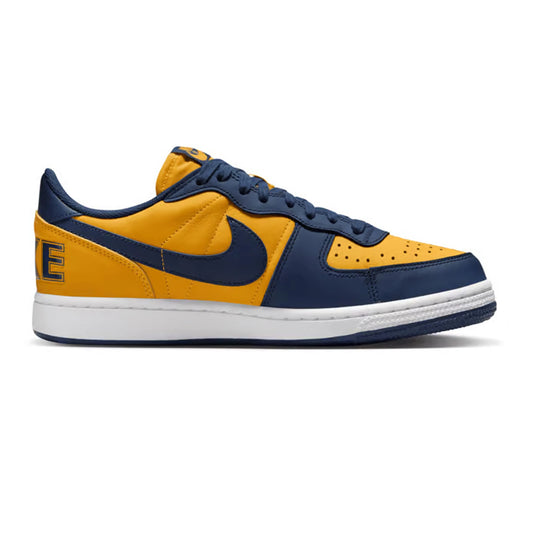 nike_terminator_low_michigan_2023_1