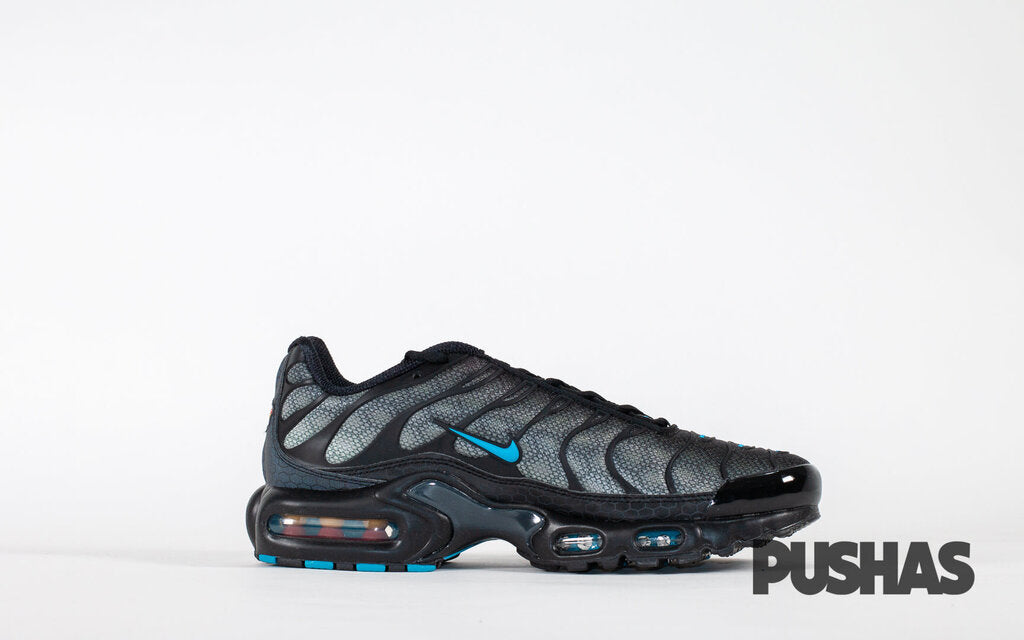 Air Max Plus TN 'Black Hex''